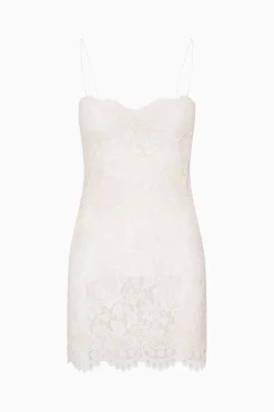Jetta Sequin Lace Mini Dress