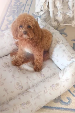 Printed Dog Bed