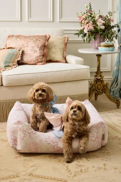 Printed Dog Bed