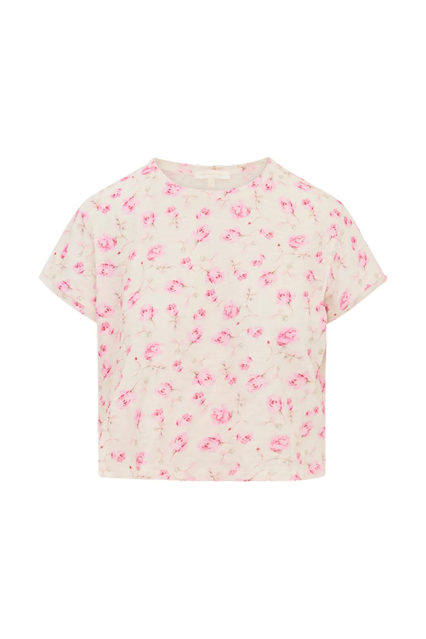 Rubin Cropped Tee