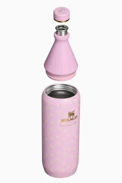 Stanley 1913 The All Day Slim Bottle in Polaroid Rose