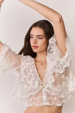 Vessia Sheer Embroidered Mesh Top
